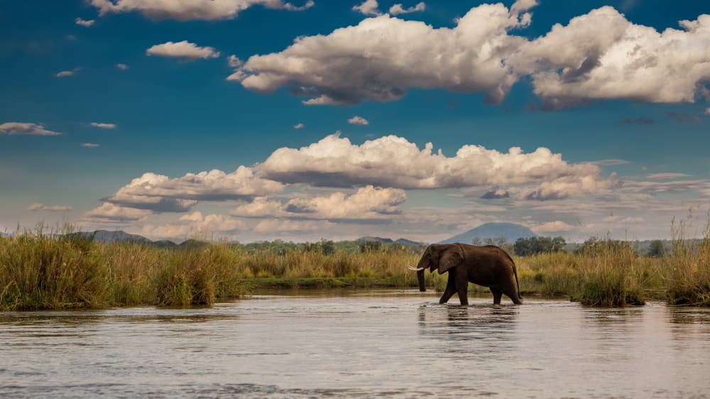 Parco nazionale del Lower Zambezi